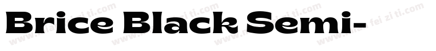 Brice Black Semi字体转换